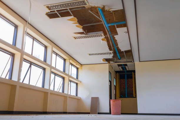 Best Residential water damage restoration  in South Congaree, SC