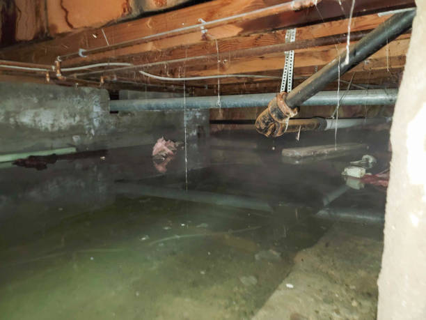 Best Sewage cleanup and water damage restoration  in South Congaree, SC