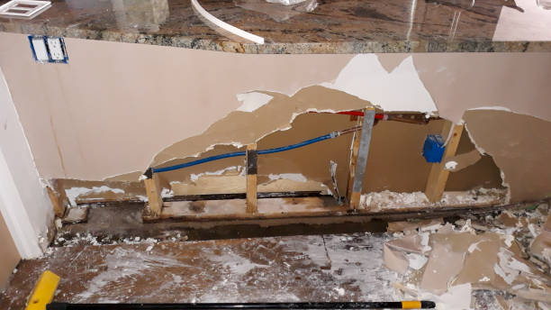 Best Basement water damage restoration  in South Congaree, SC