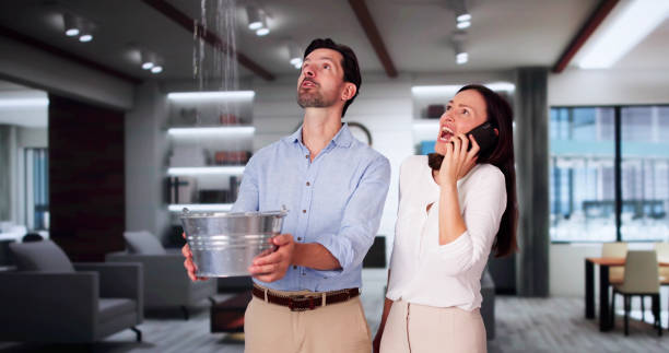 Best Professional water damage repair  in South Congaree, SC