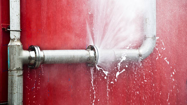 Best Water damage restoration near me  in South Congaree, SC