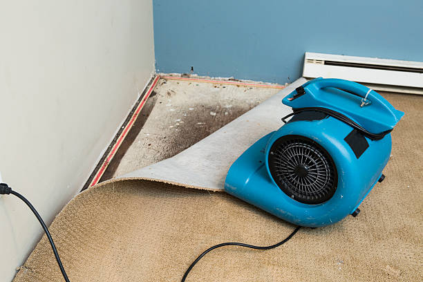 Best Commercial water damage restoration  in South Congaree, SC